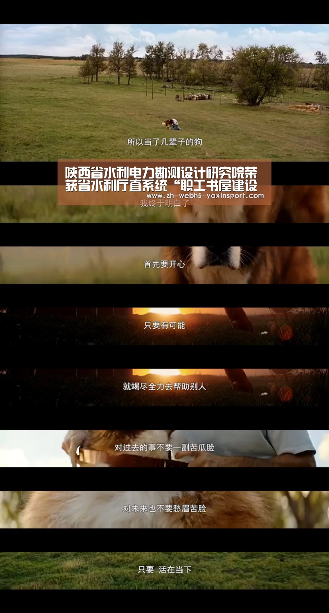 陕西省水利电力勘测设计研究院荣获省水利厅直系统“职工书屋建设先进单位”称号-亚新app(图3) 亚新官网