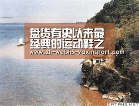 亚新网站