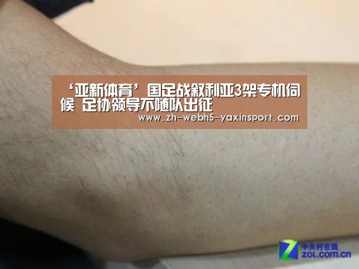 ‘亚新体育’国足战叙利亚3架专机伺候 足协领导不随队出征(图1) 亚新网站