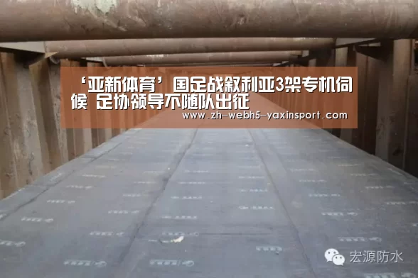 ‘亚新体育’国足战叙利亚3架专机伺候 足协领导不随队出征(图3) 亚新官网