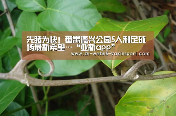 先睹为快!番禺德兴公园5人制足球场最新希望…“亚新app”(图2) 亚新体育