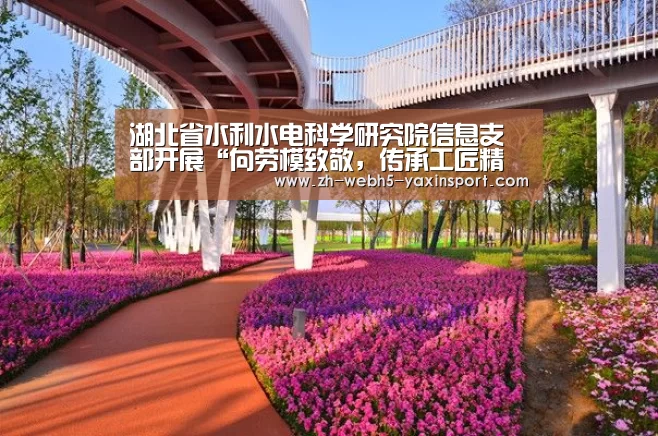 湖北省水利水电科学研究院信息支部开展“向劳模致敬,传承工匠精神”主题党日活动‘亚新体育’(图2) 亚新官网
