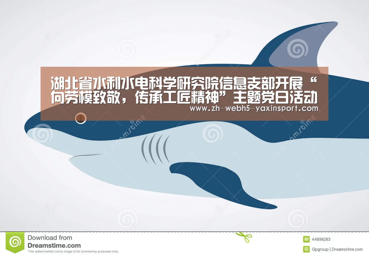 湖北省水利水电科学研究院信息支部开展“向劳模致敬,传承工匠精神”主题党日活动‘亚新体育’(图3) 亚新官网