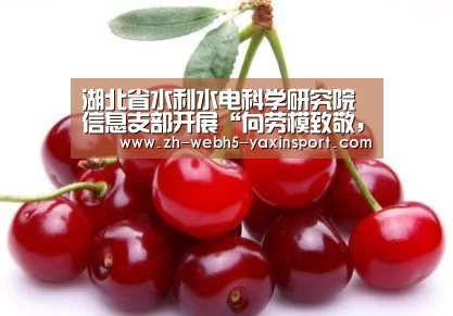 湖北省水利水电科学研究院信息支部开展“向劳模致敬,传承工匠精神”主题党日活动‘亚新体育’(图4) 亚新官网