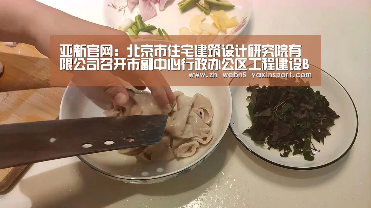 亚新官网:北京市住宅建筑设计研究院有限公司召开市副中心行政办公区工程建设BIM协同平台标准编制建筑施工组工作协调会(图3) 亚新官网:北京市住宅建筑设计研究院有限公司召开市副中心行政办公区工程建设BIM协同平台标准编制建筑施工组工作协调会(图3)