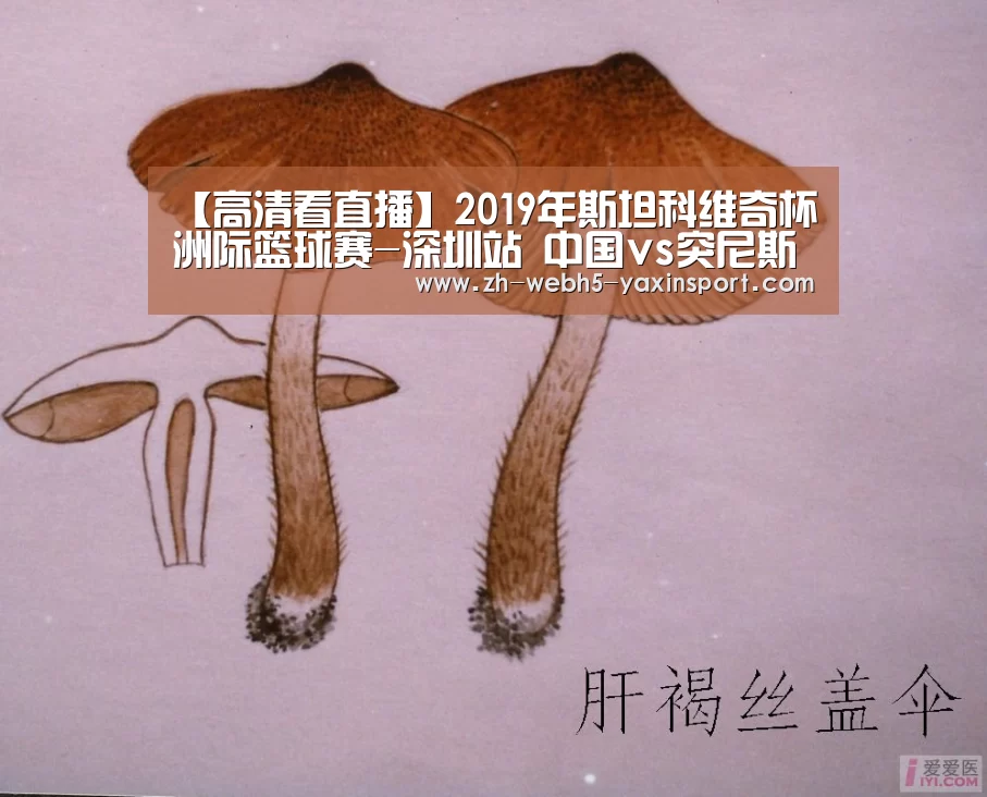 【高清看直播】2019年斯坦科维奇杯洲际篮球赛-深圳站 中国vs突尼斯-亚新app(图1)
【高清看直播】2019年斯坦科维奇杯洲际篮球赛-深圳站 中国vs突尼斯-亚新app(图1)