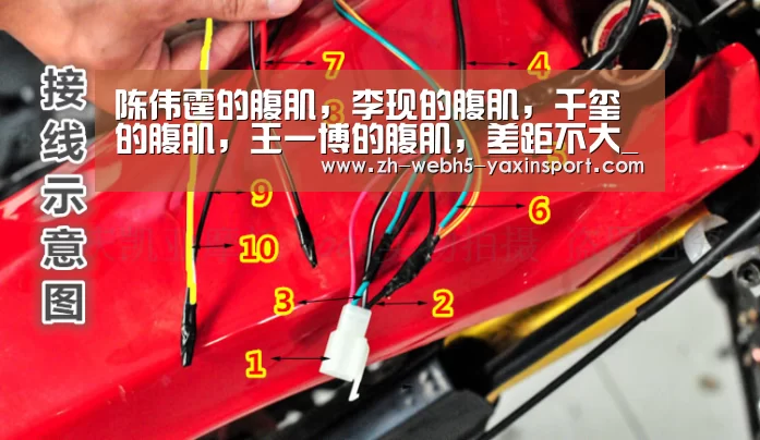 陈伟霆的腹肌,李现的腹肌,千玺的腹肌,王一博的腹肌,差距不大_亚新体育(图2) 亚新app