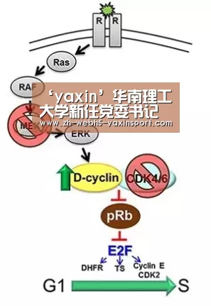 ‘yaxin’华南理工大学新任党委书记章熙春慰问华南理工大学建筑设计研究院何镜堂院长(图3) 亚新网站