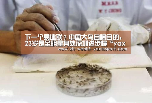 下一个易建联?中国大鸟自曝目的,23岁是全明星身处深圳进步慢“yaxin”(图1) 亚新网站