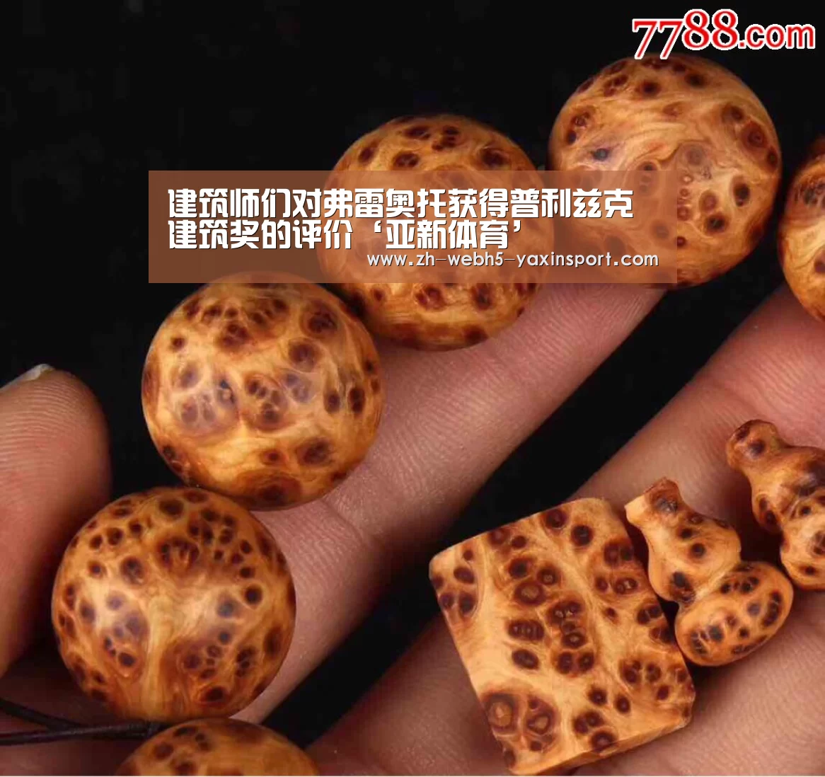 建筑师们对弗雷奥托获得普利兹克建筑奖的评价‘亚新体育’(图2) 亚新体育