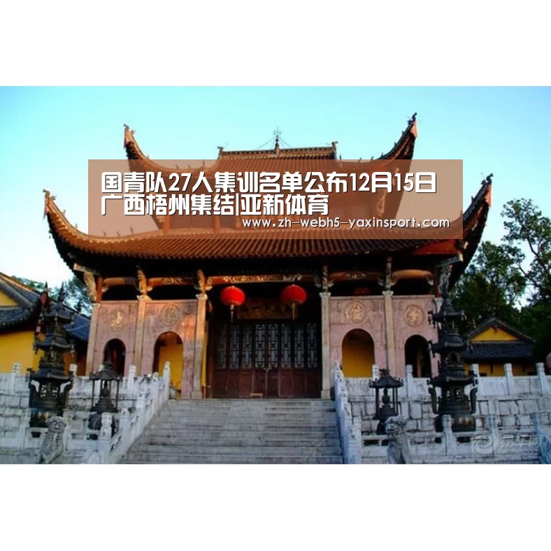 亚新网站