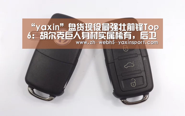 “yaxin”盘货现役最强壮前锋Top6:胡尔克巨人身材实属稀有,后卫闻风丧胆(图1) 亚新app