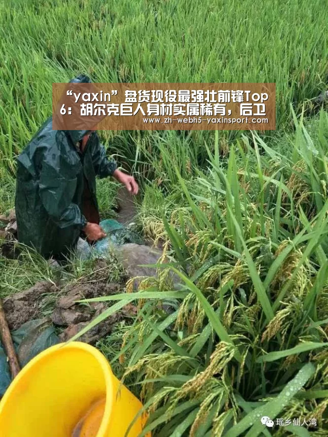 “yaxin”盘货现役最强壮前锋Top6:胡尔克巨人身材实属稀有,后卫闻风丧胆(图4) 亚新体育