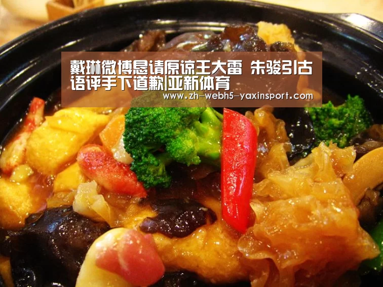 戴琳微博恳请原谅王大雷 朱骏引古语评手下道歉|亚新体育(图1) 亚新官网