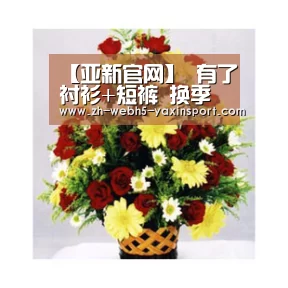 亚新网站