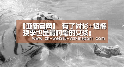 亚新网站